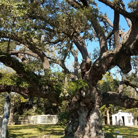 Meet your Posher!! - Picture 5 of 16